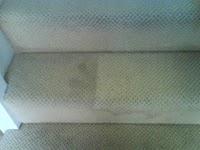Premier Carpet and upholstery cleaning 352462 Image 4
